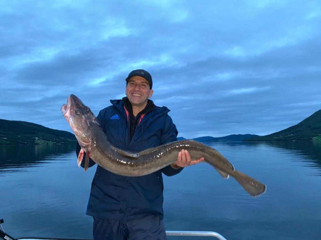 Kvernesfjorden Apartments Steinsgrenda Bagian luar foto