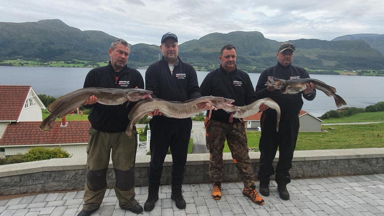 Kvernesfjorden Apartments Steinsgrenda Bagian luar foto