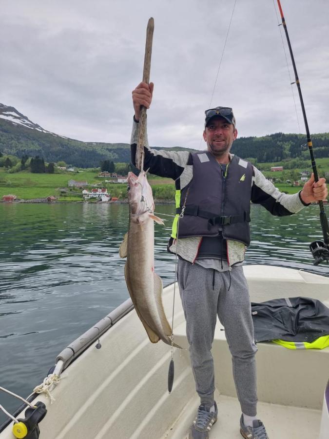 Kvernesfjorden Apartments Steinsgrenda Bagian luar foto