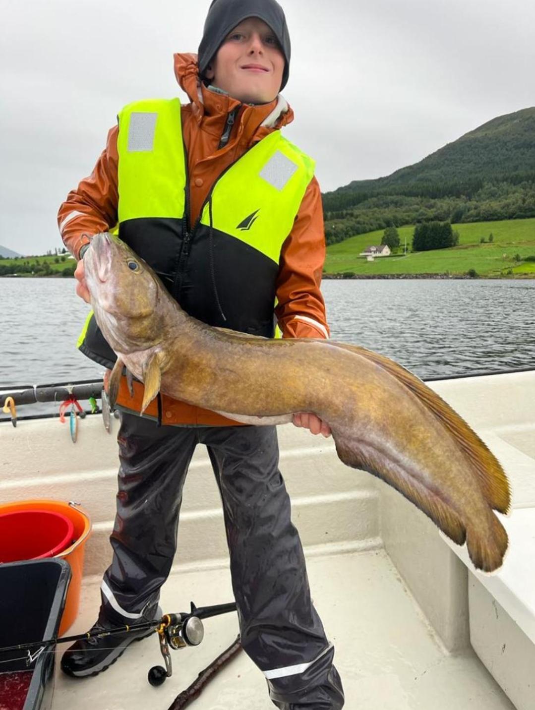 Kvernesfjorden Apartments Steinsgrenda Bagian luar foto