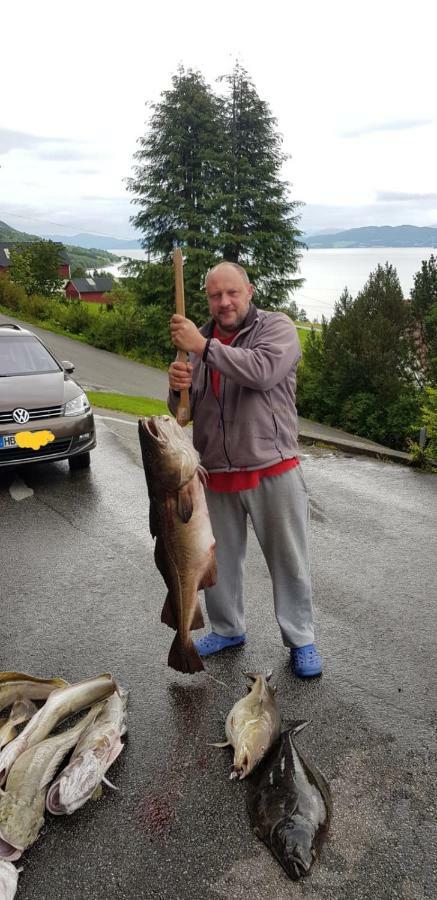 Kvernesfjorden Apartments Steinsgrenda Bagian luar foto